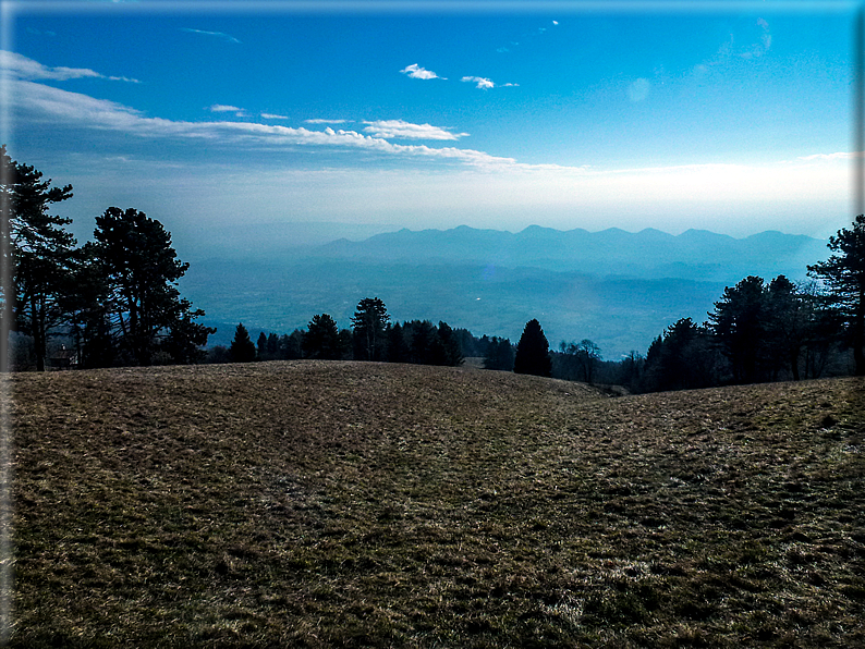 foto Salita dal Monte Tomba a Cima Grappa